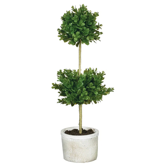 Double Boxwood Topiary