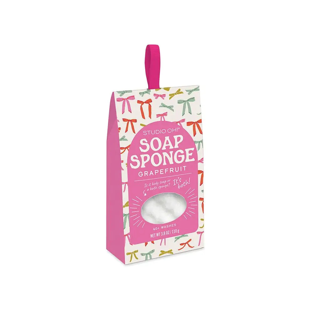 Soap Sponge